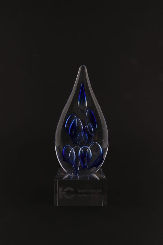 Product photography of an award